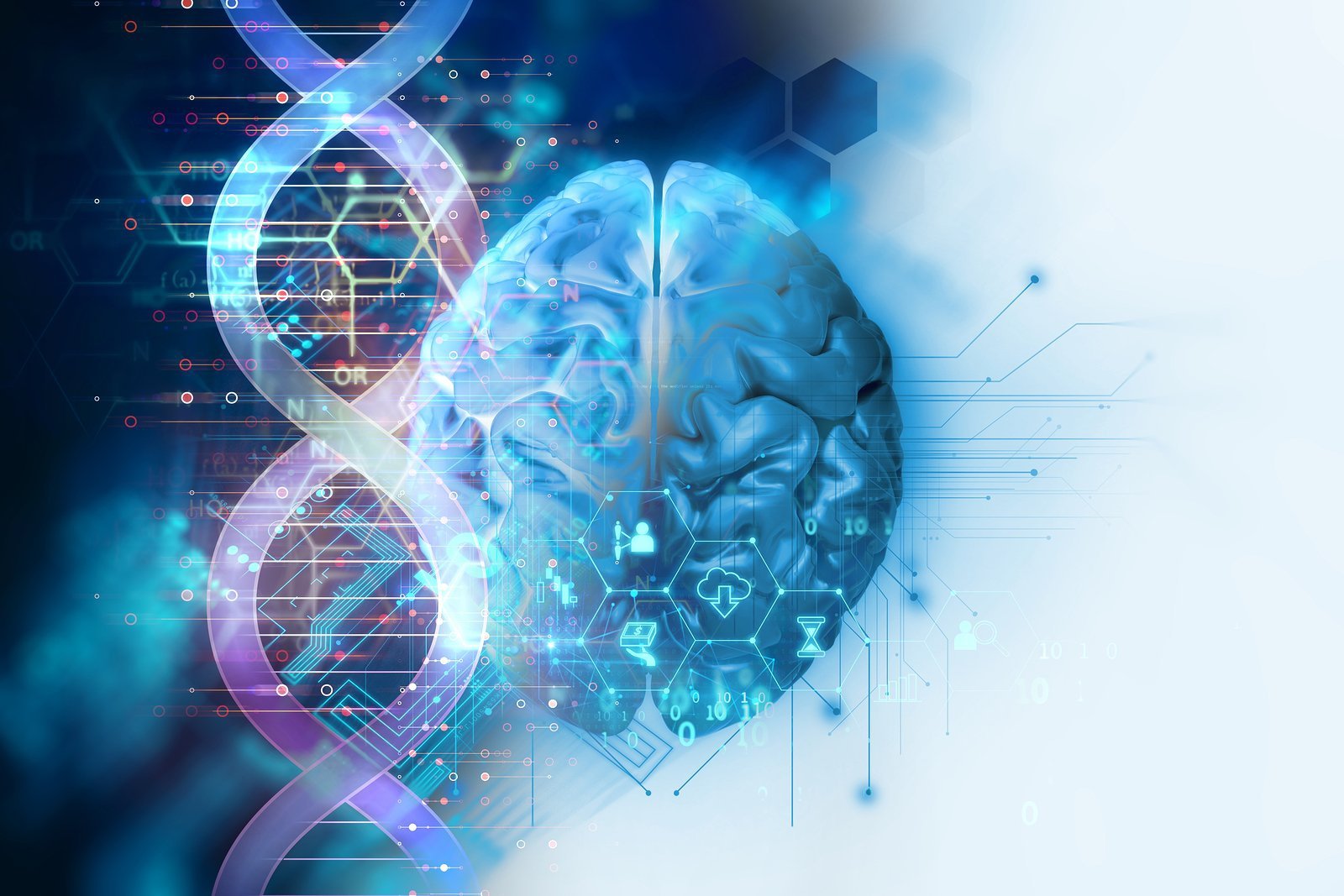 How To Find Nootropics That Match Your Brain Chemistry