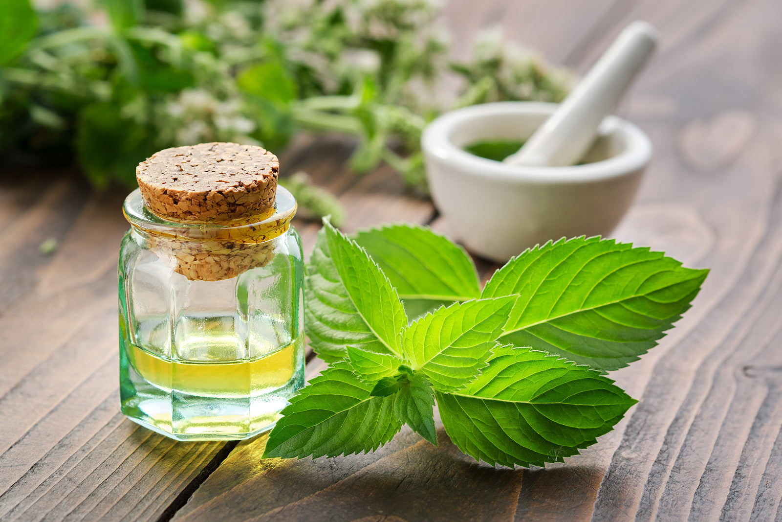 Peppermint Oil