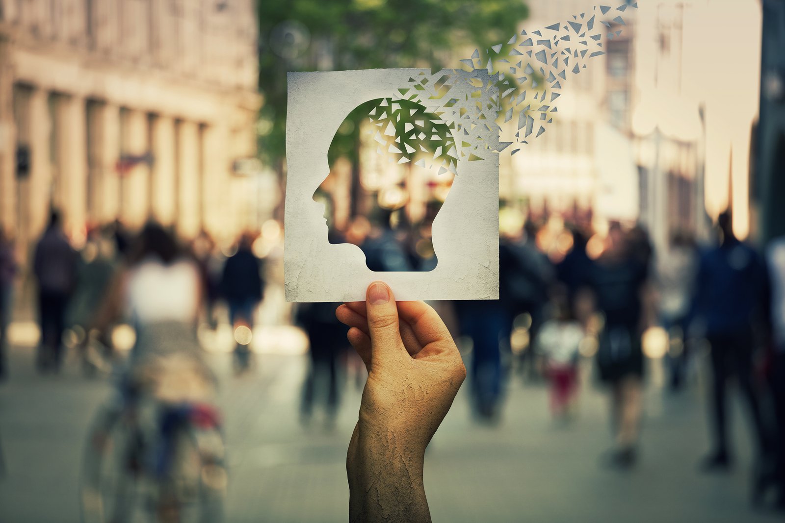 Nootropics for Supporting Learning and Memory